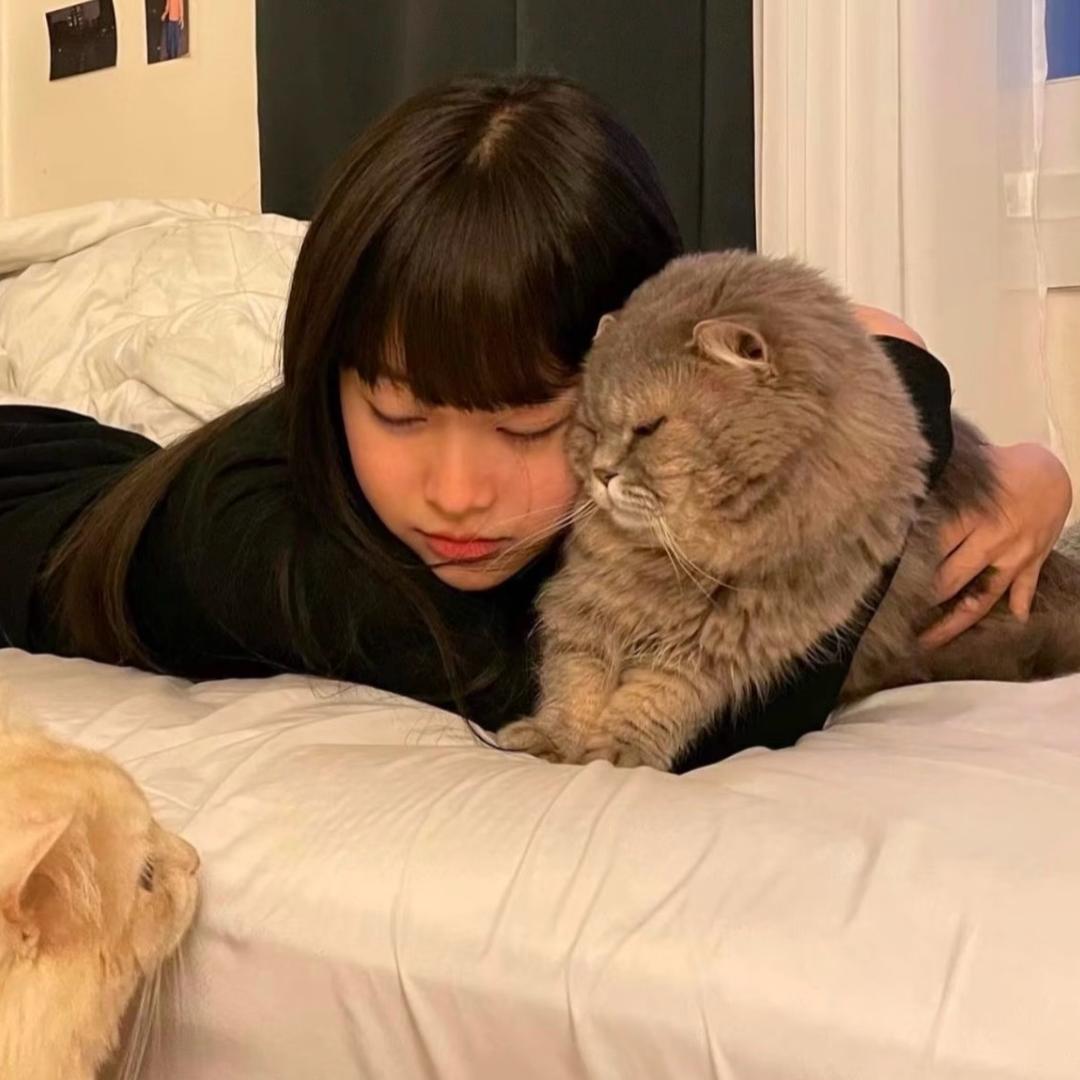 小碗
