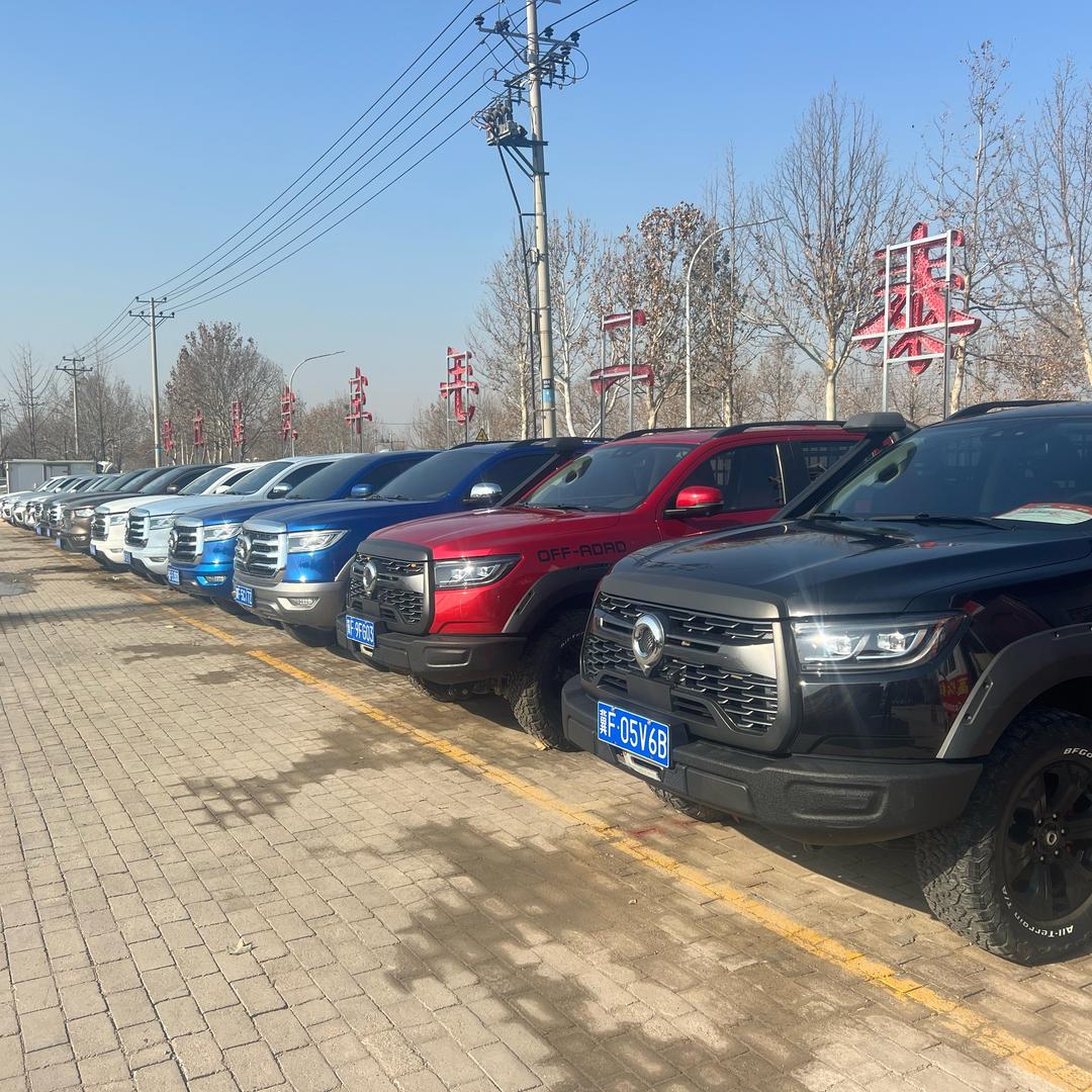 嘉盛行二手皮卡车