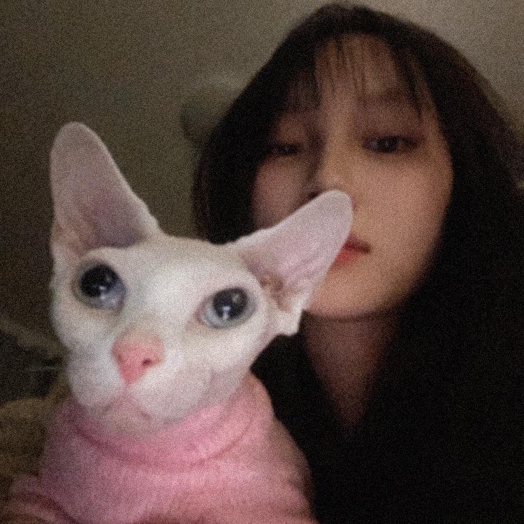 上海穿孔师-团子🍔