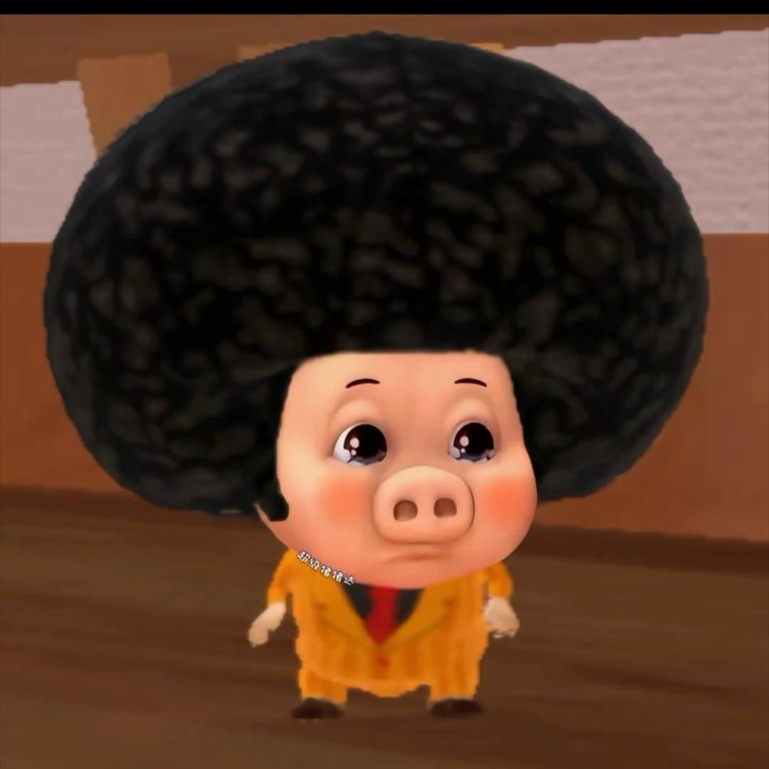 农村养猪人