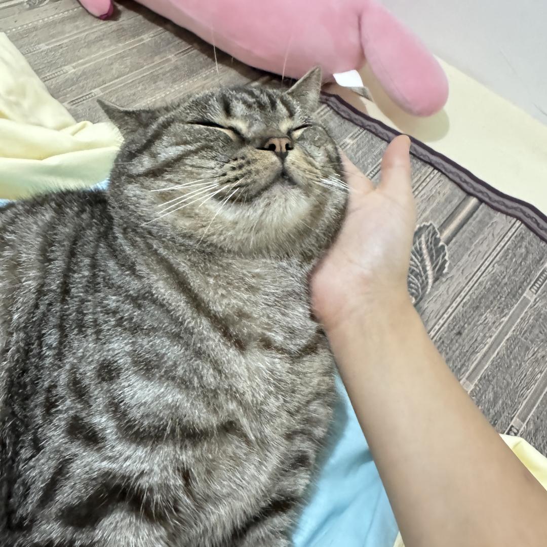 小元