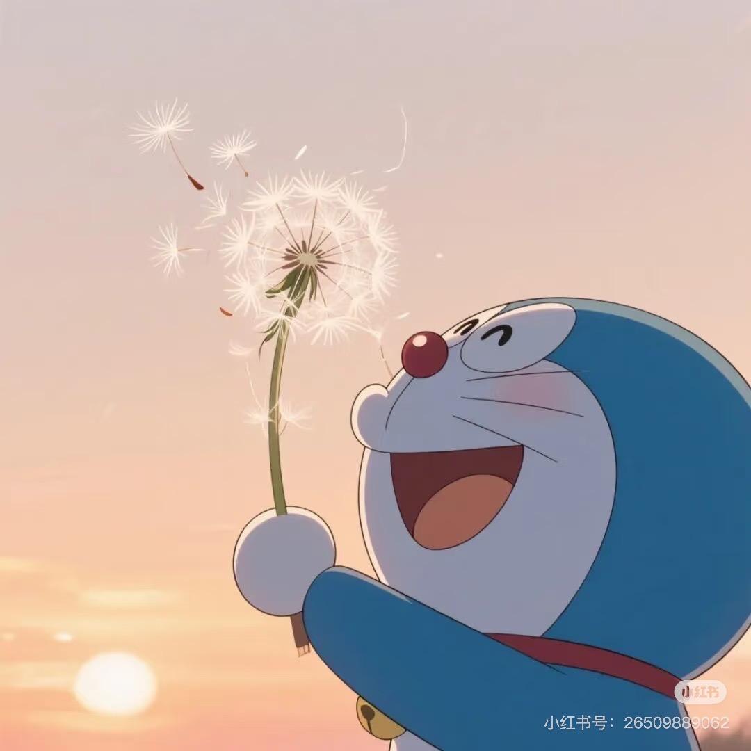 陈同学的快乐星球