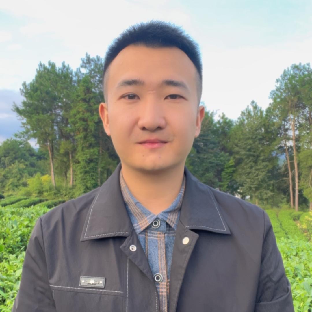 还是留乡