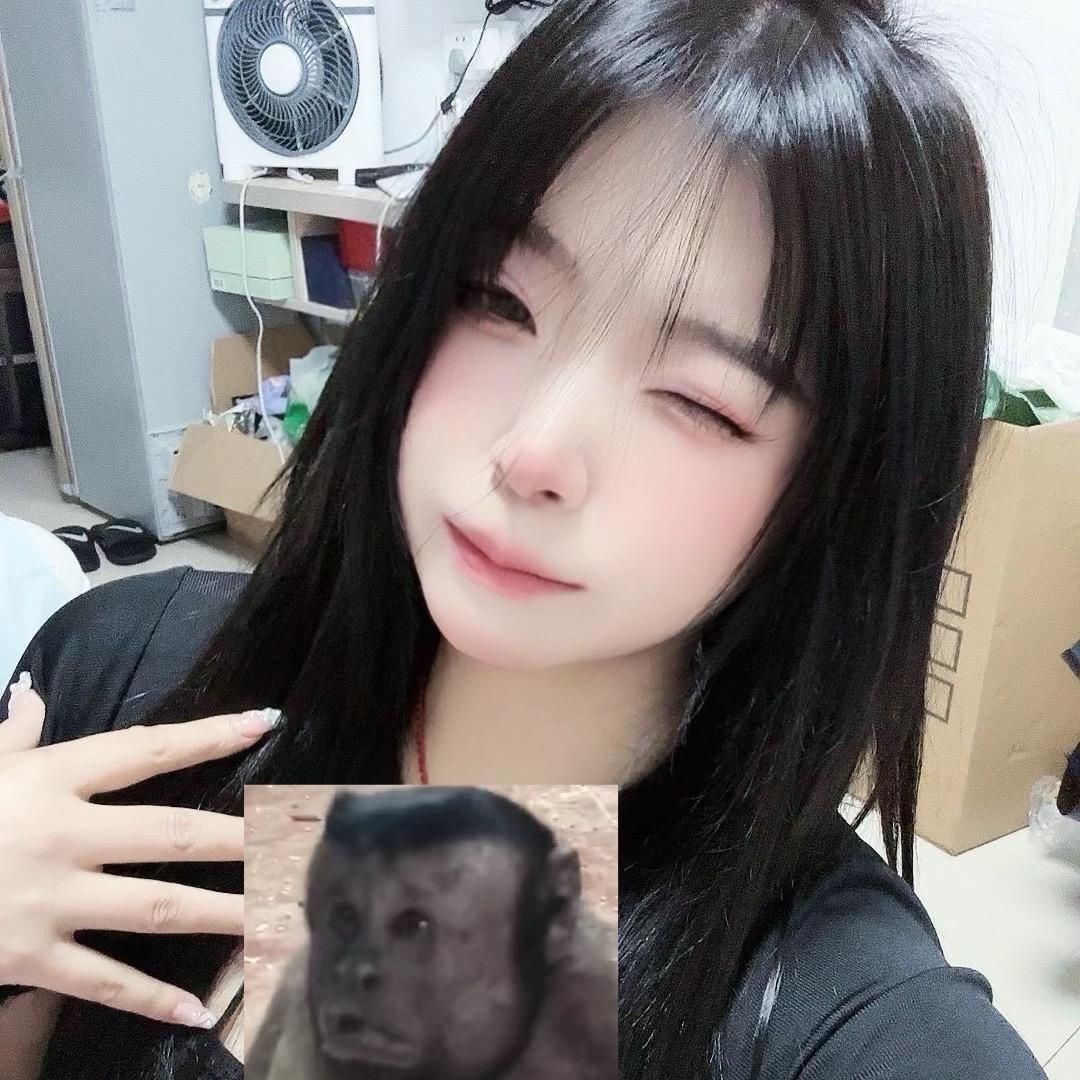 赣州现代蔡蔡