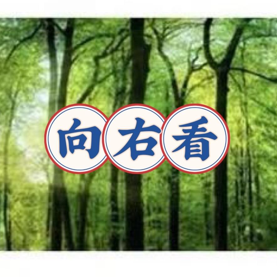 高级铅笔