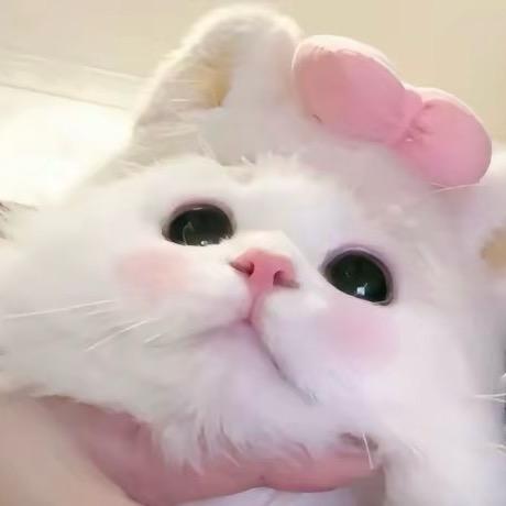 大绵羊