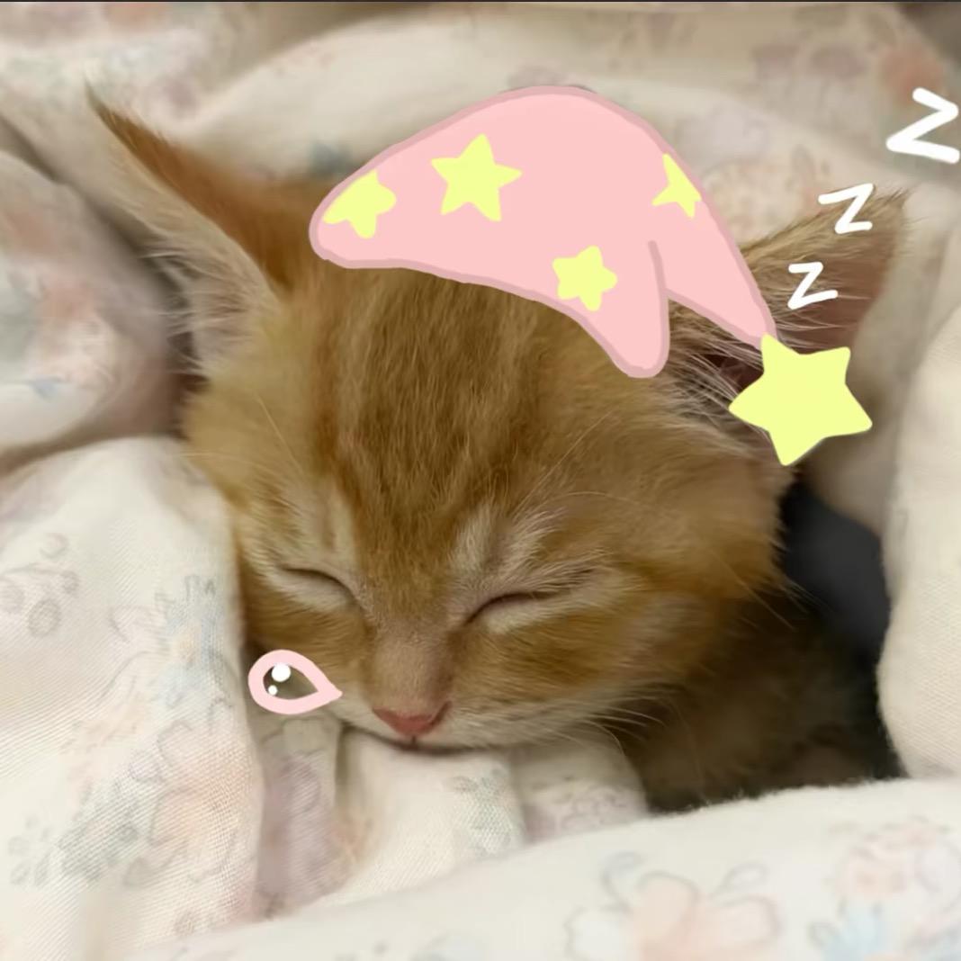 3头像