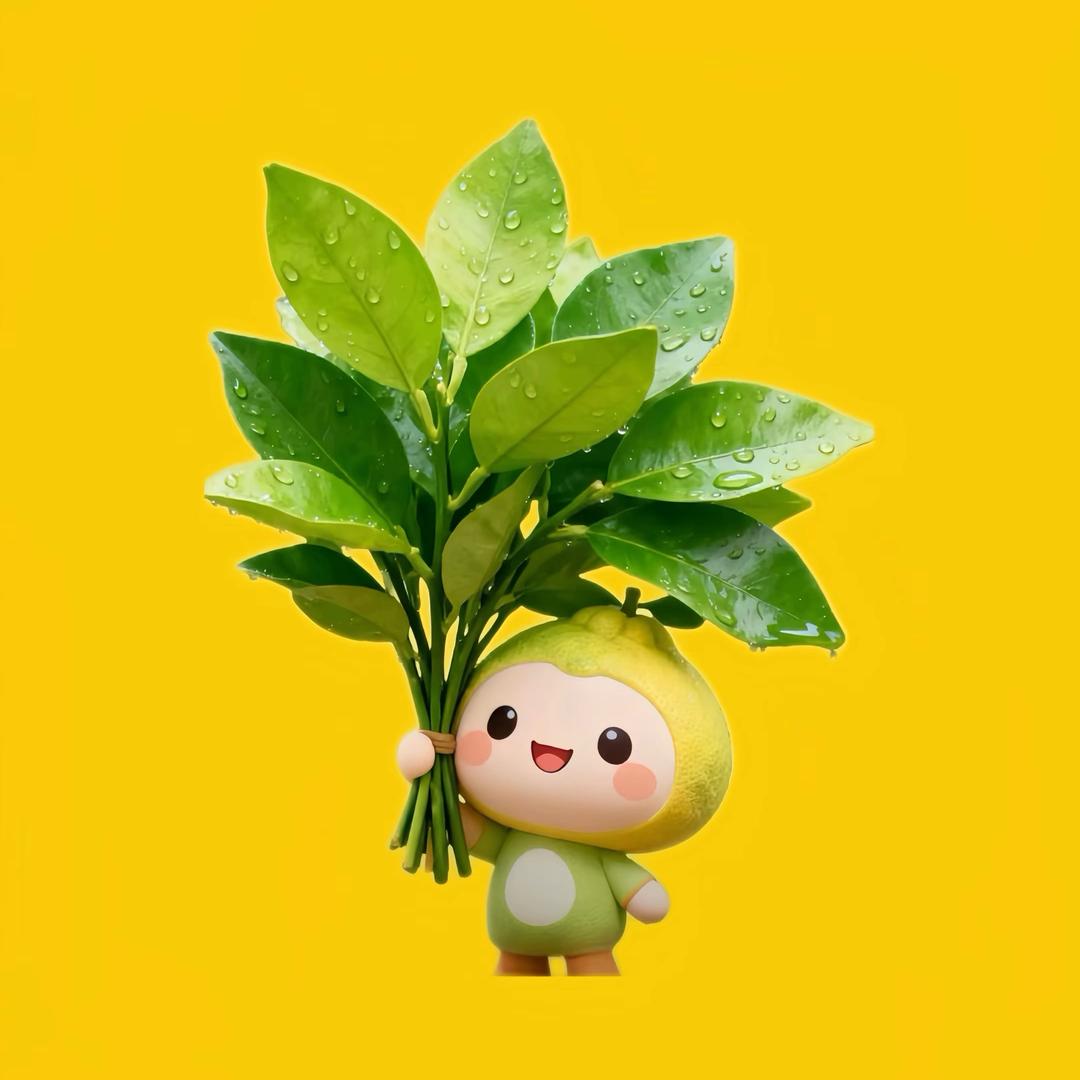 承诺一文不值🍓