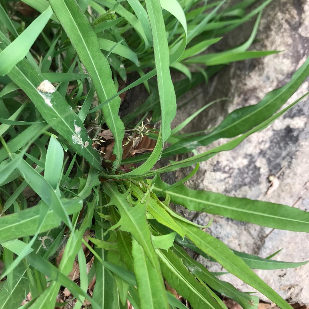 每天必须要快乐