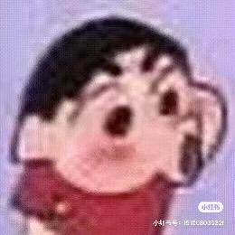 海鸥日记