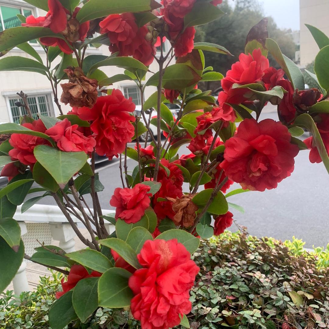 重庆小吃幸福就是每天和你见🍜🍜🍜