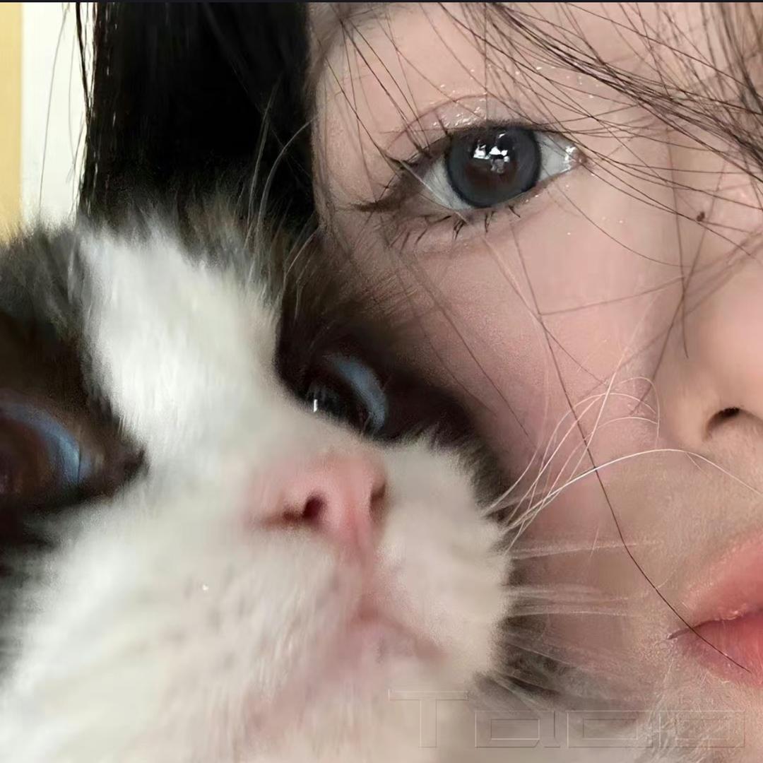 你烦不烦