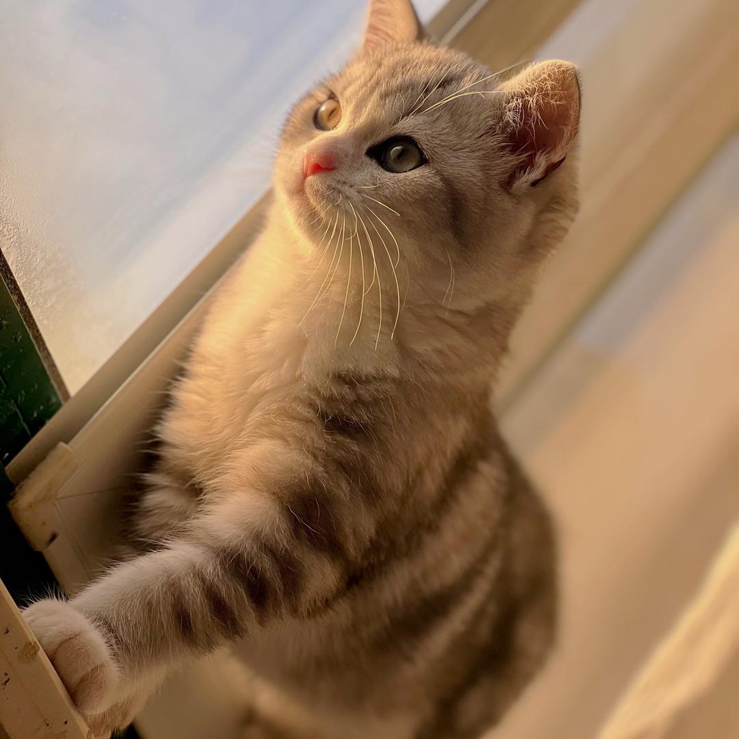 我的下牙不太齐