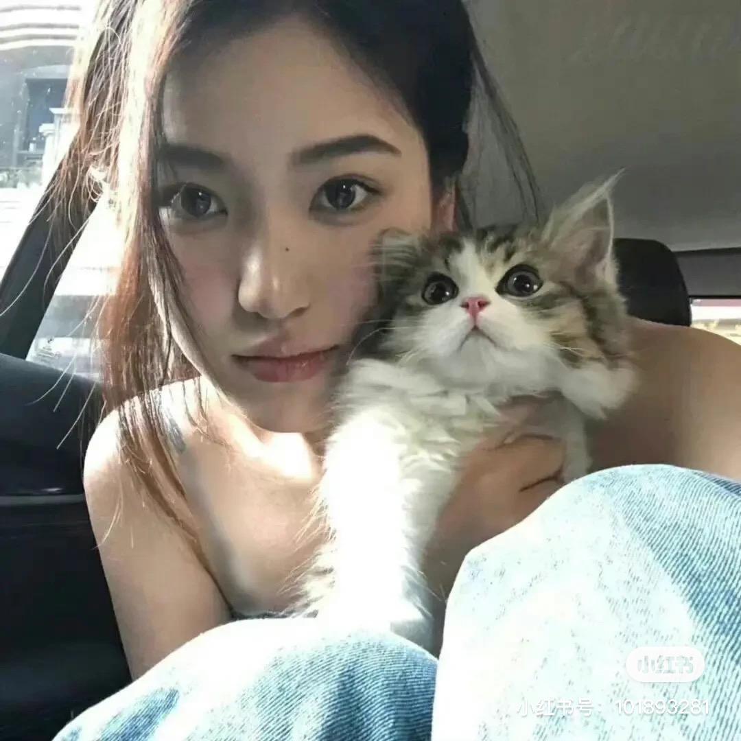 芙芙