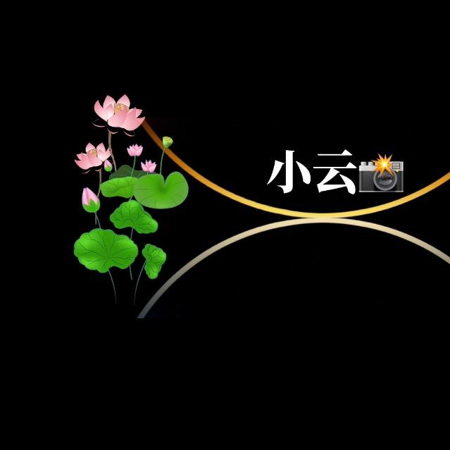 小云  （手机影视）
