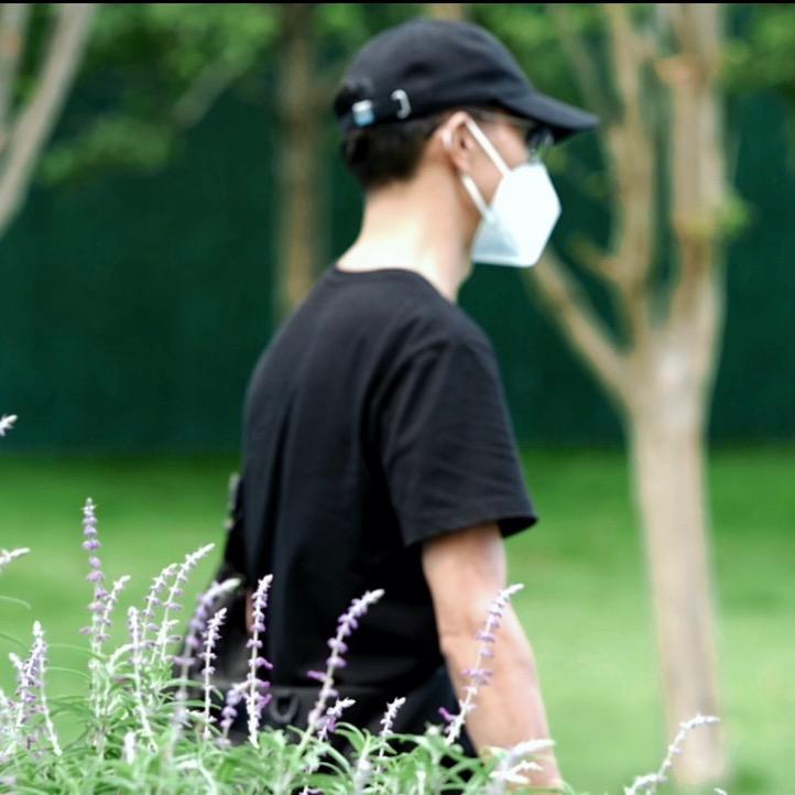 青春叶老