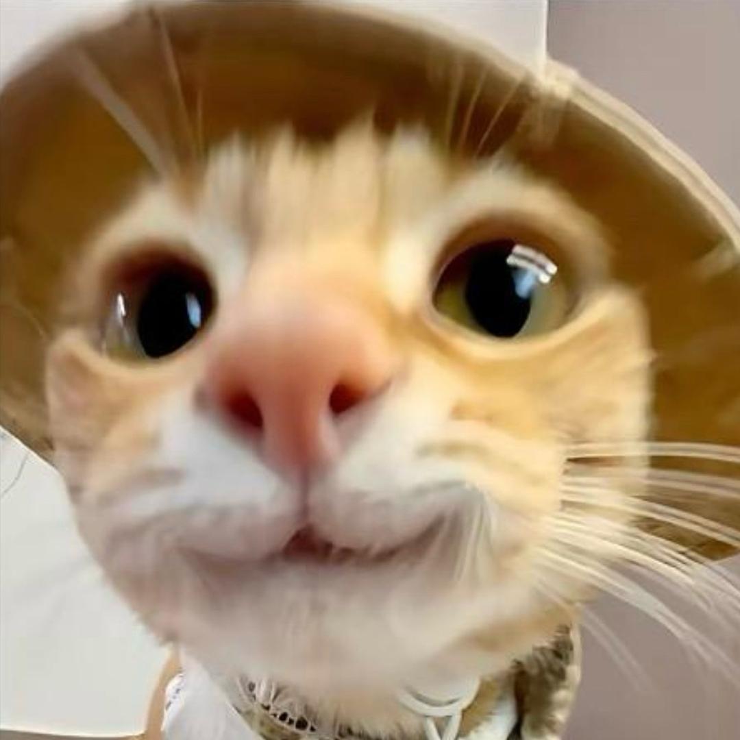 ㅤㅤㅤ     ㅤㅤㅤ