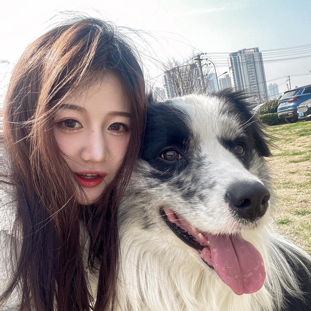 孤独的狼🐺