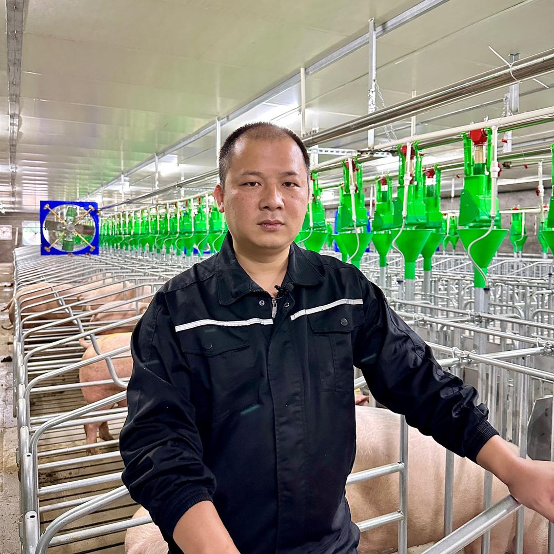 阿奎养猪奋斗