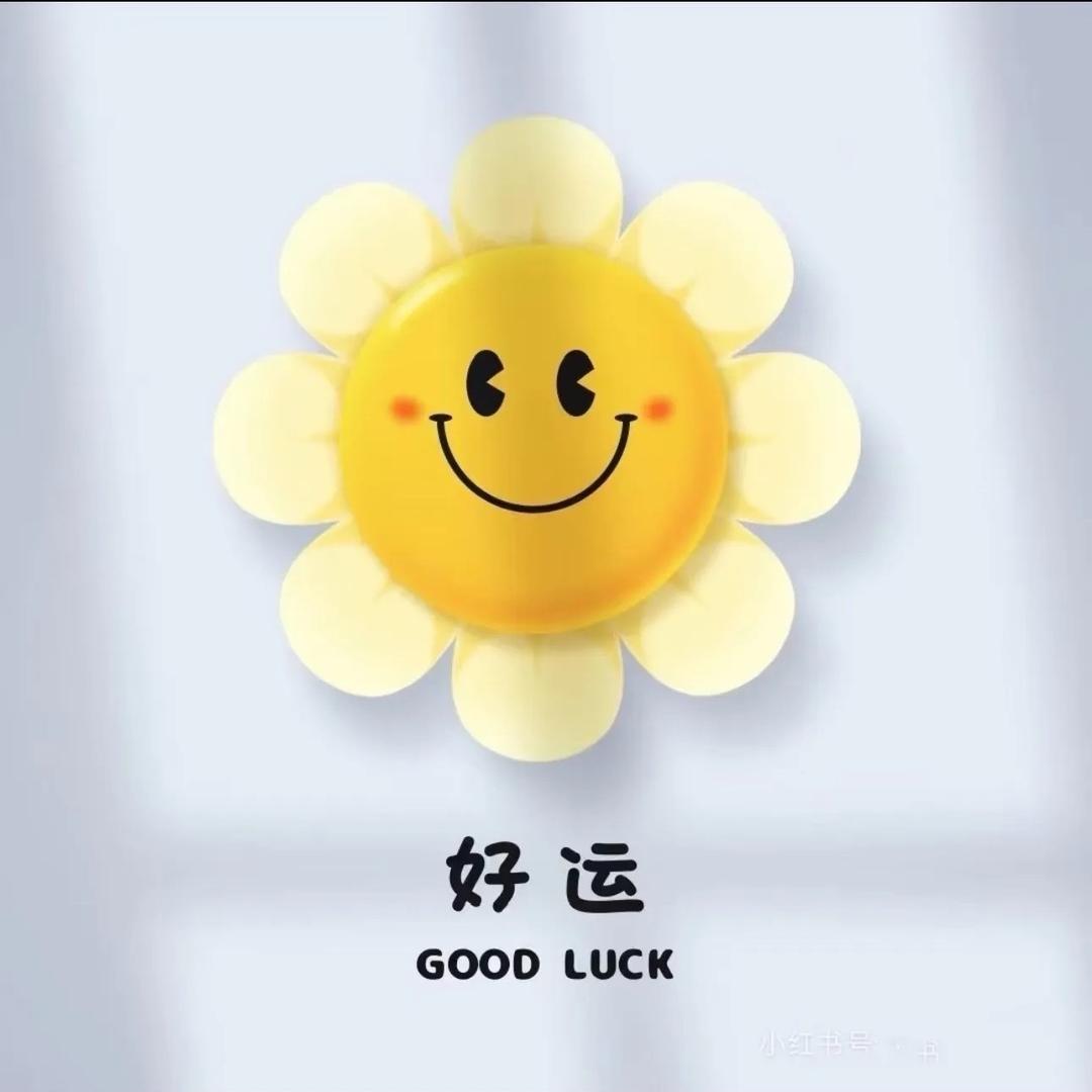 徽姑娘呀