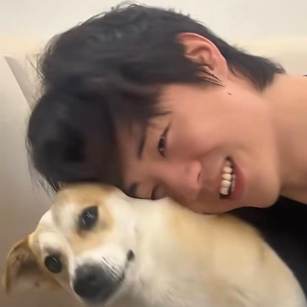 打败盖侬拯救公主