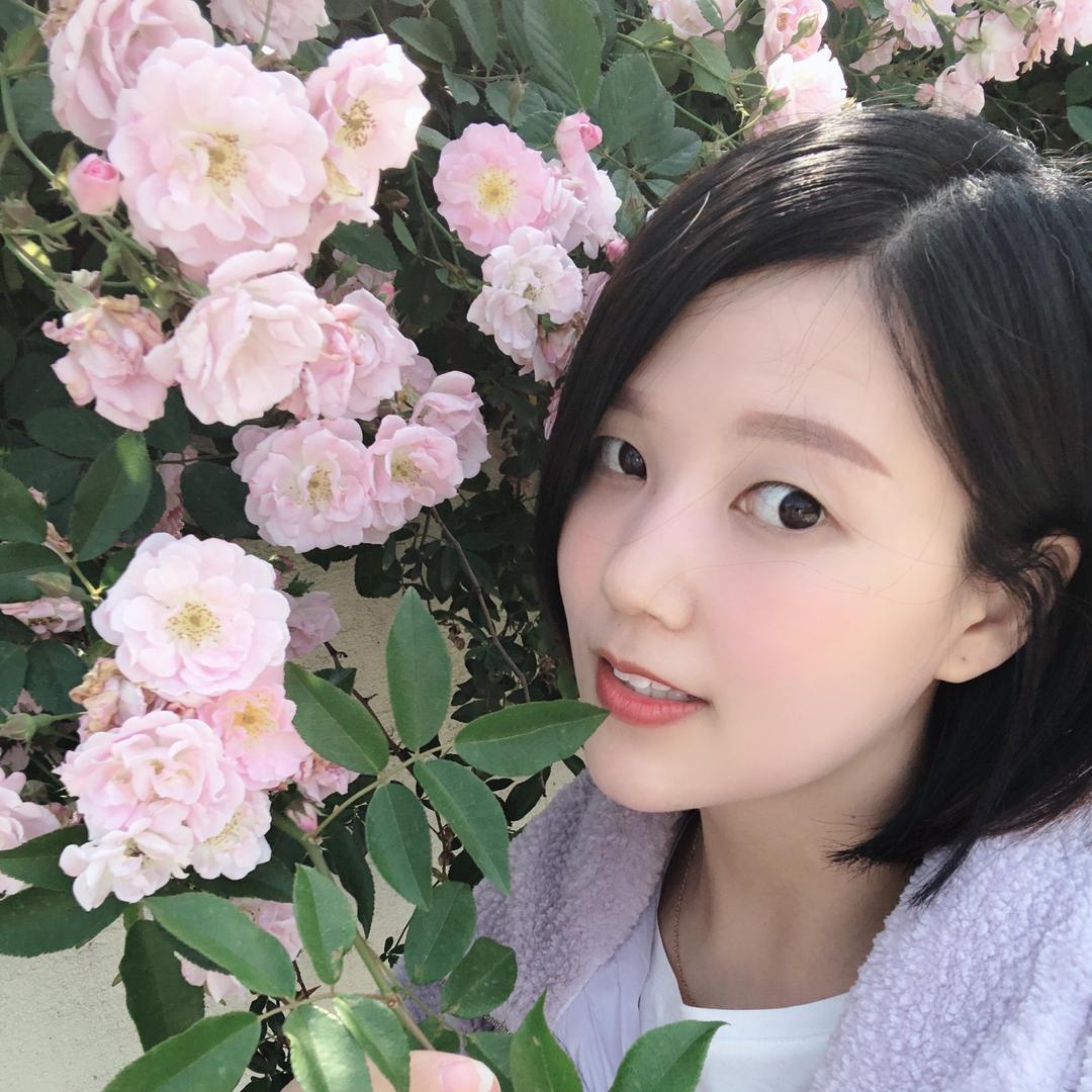 ☁️云小朵