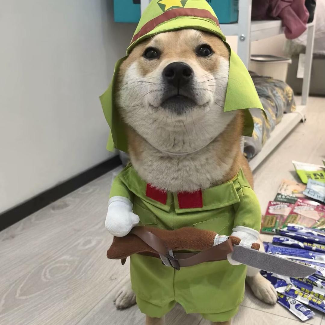 西红柿集团董事长