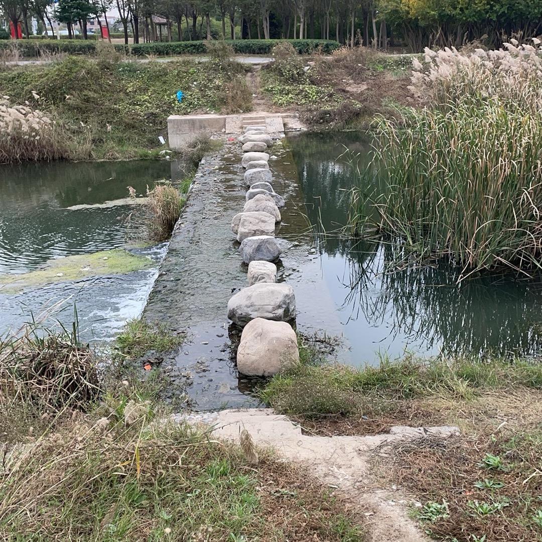 从容.头像