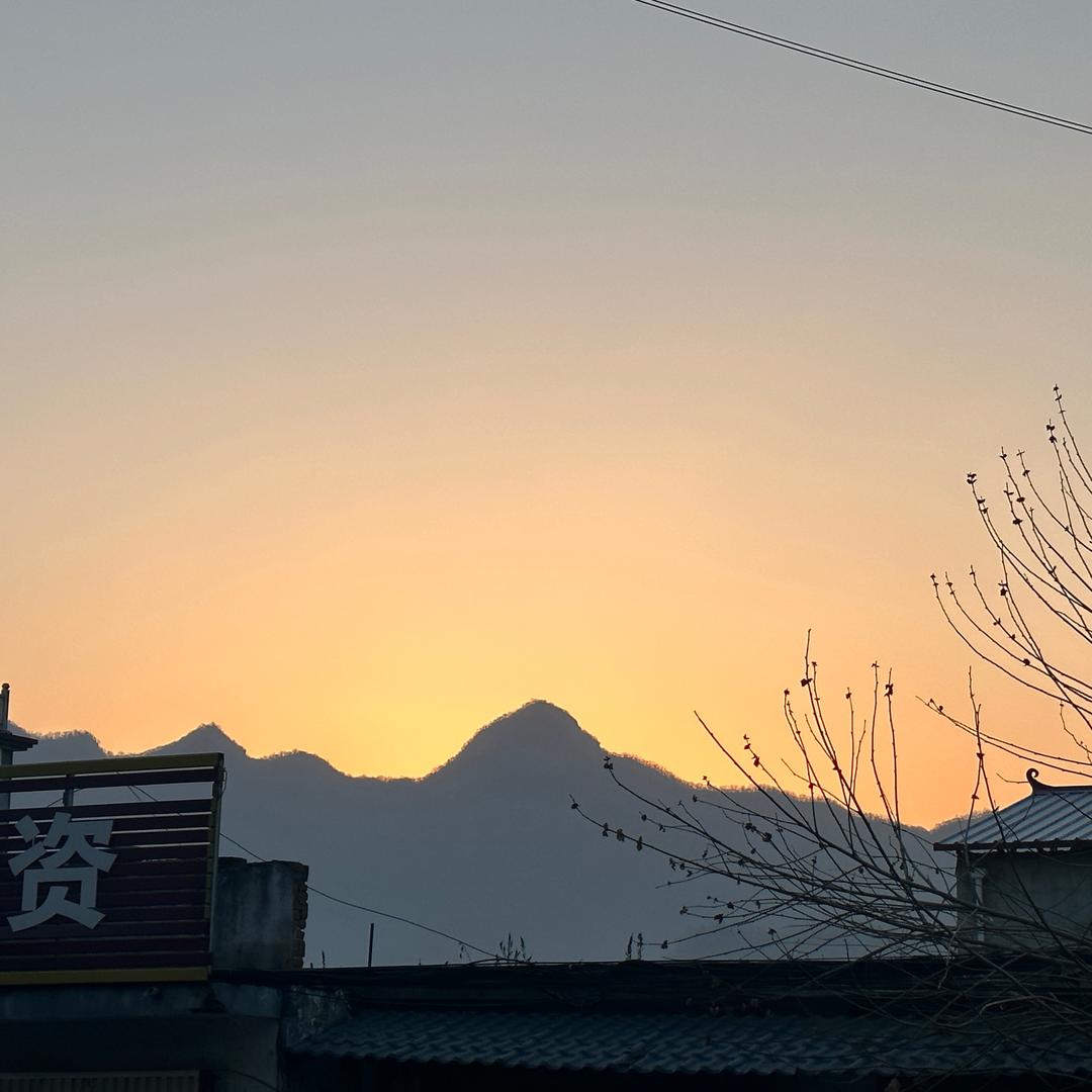 善本布衣