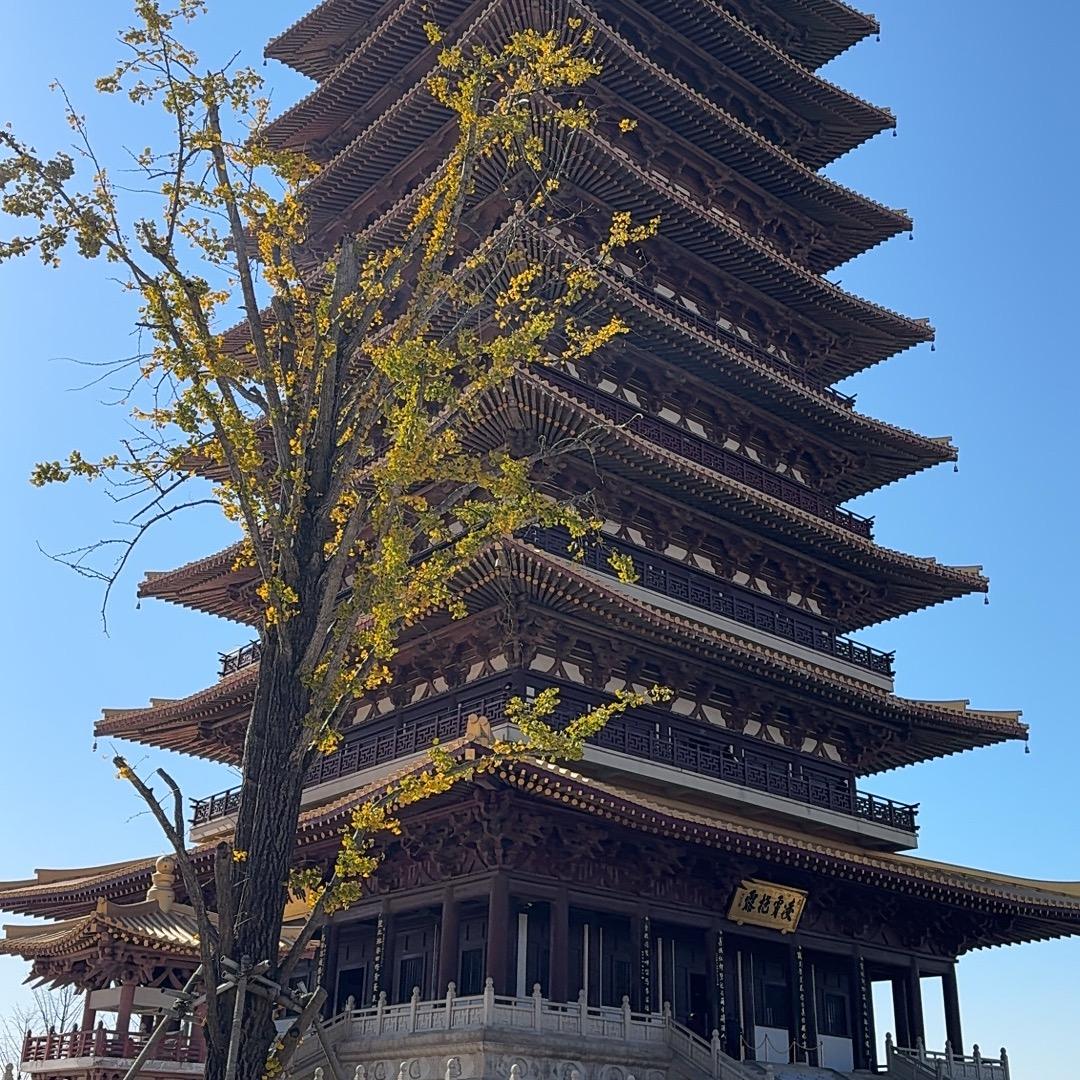 汇东智  讲腰3️⃣