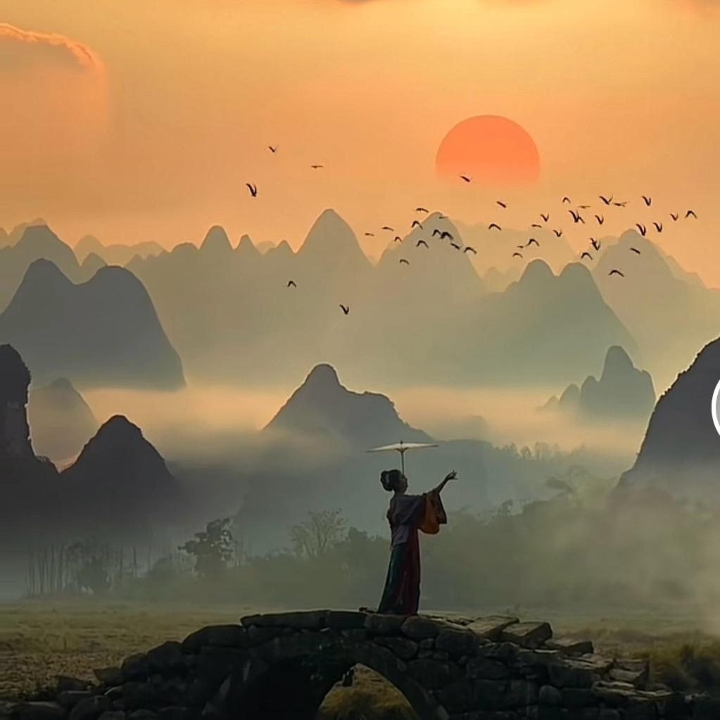 🎣金銀花☀️🌼