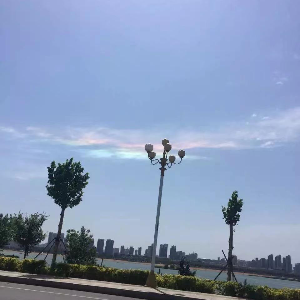 金豆品牌机能鞋