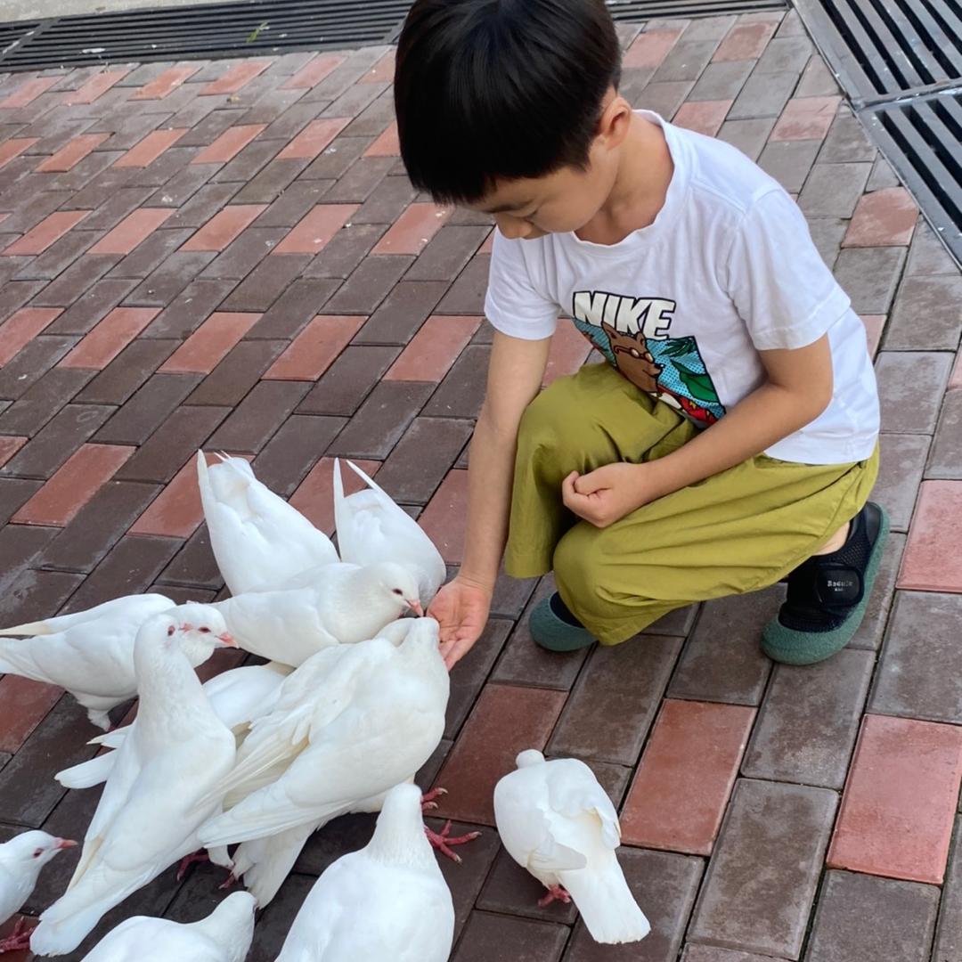 曼曼
