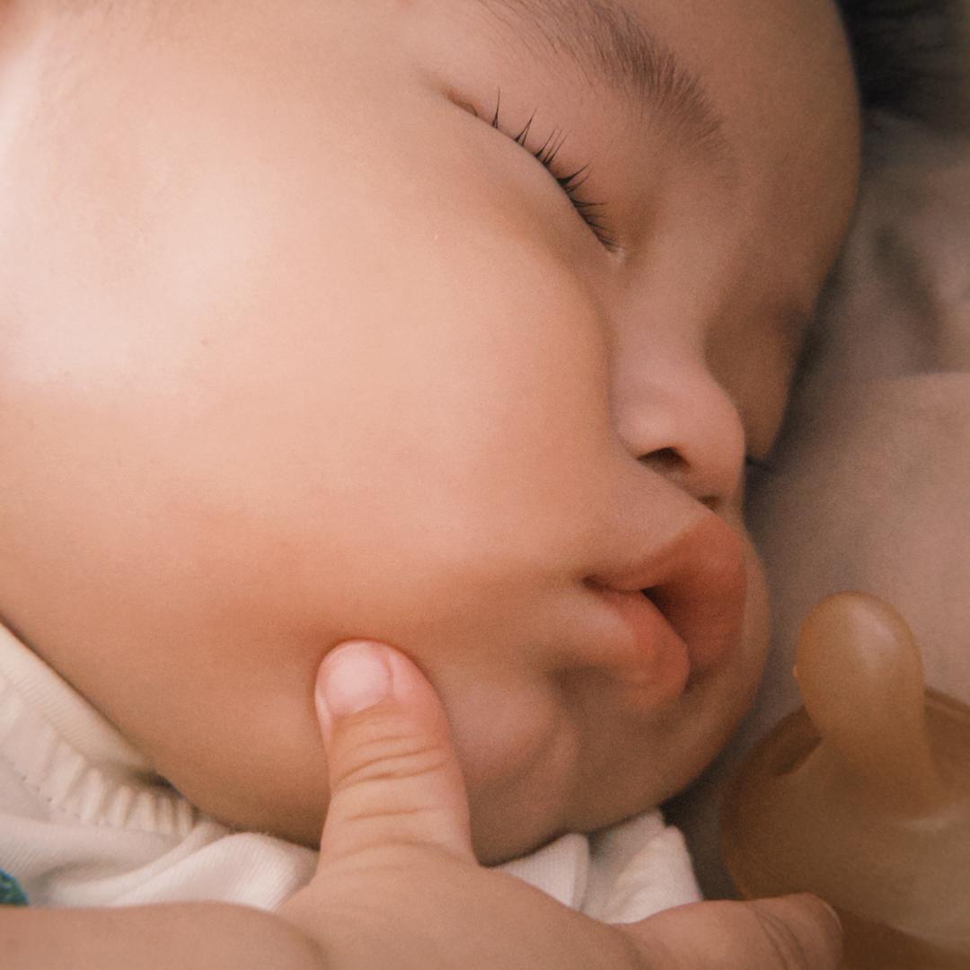 杨女士的崽🐣