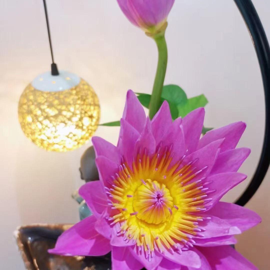 ꧁❀容容❀꧂