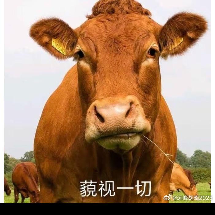 牛仔总 批发服设