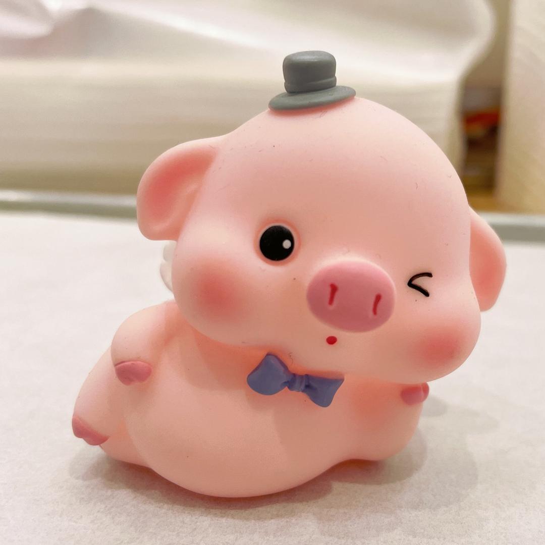 喜猪猪🐷