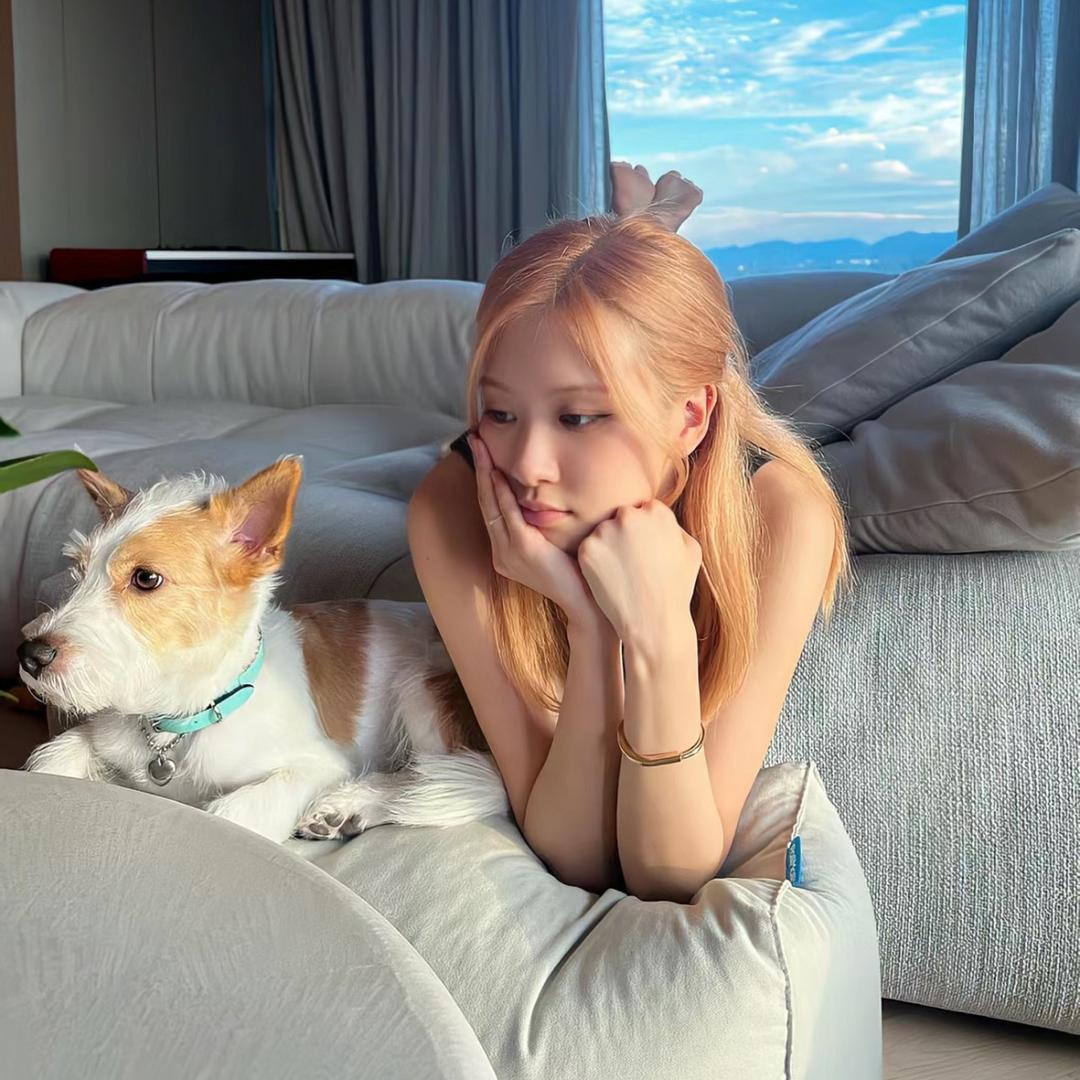王美丽