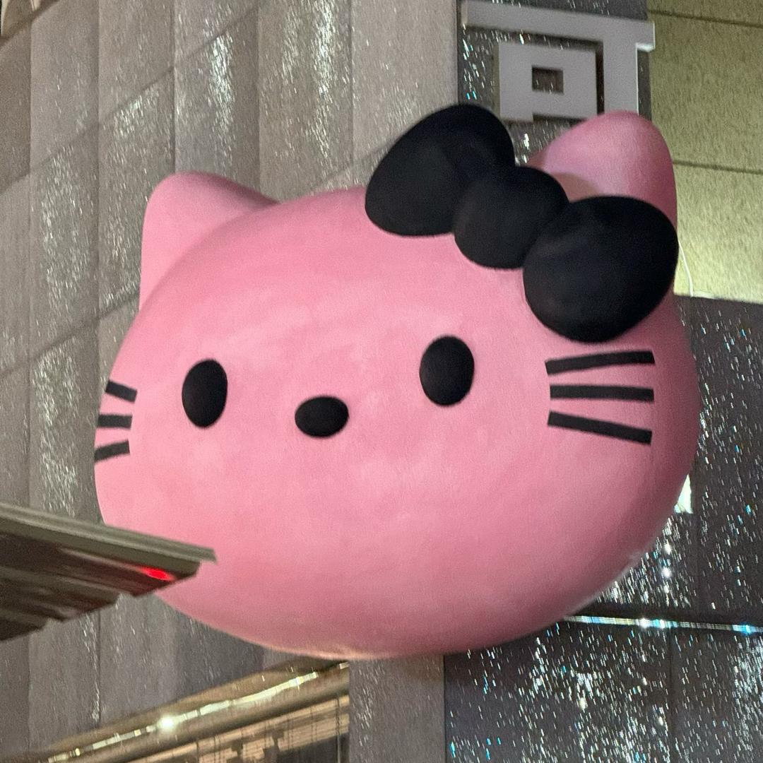 哈哈🌝（吃素版）