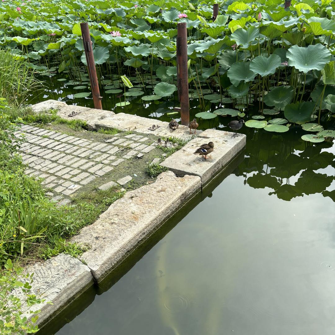 江枫渔具厂