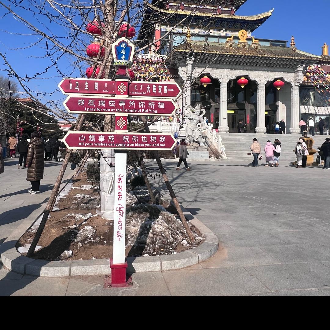 蕾蕾🪷1