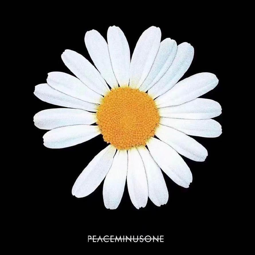 🌼环游世界MoMo哒🌼