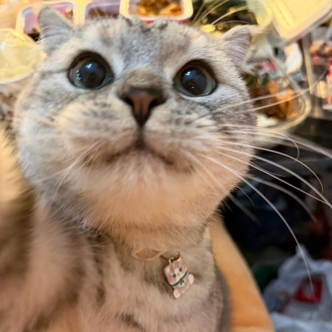 生生
