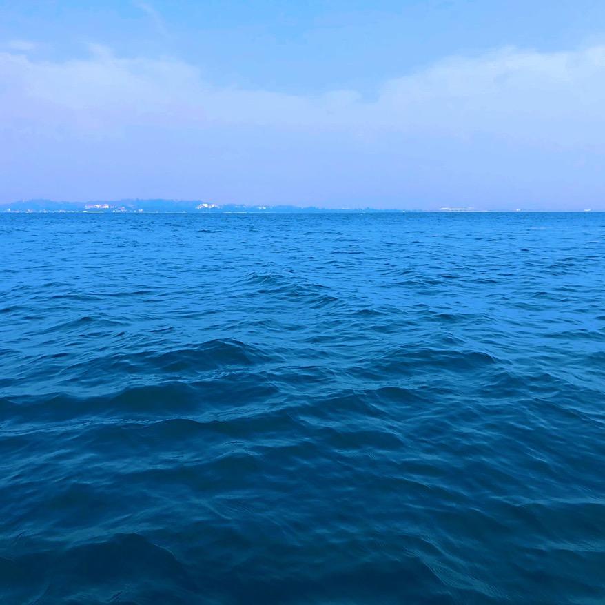 我什么时候退休啊？