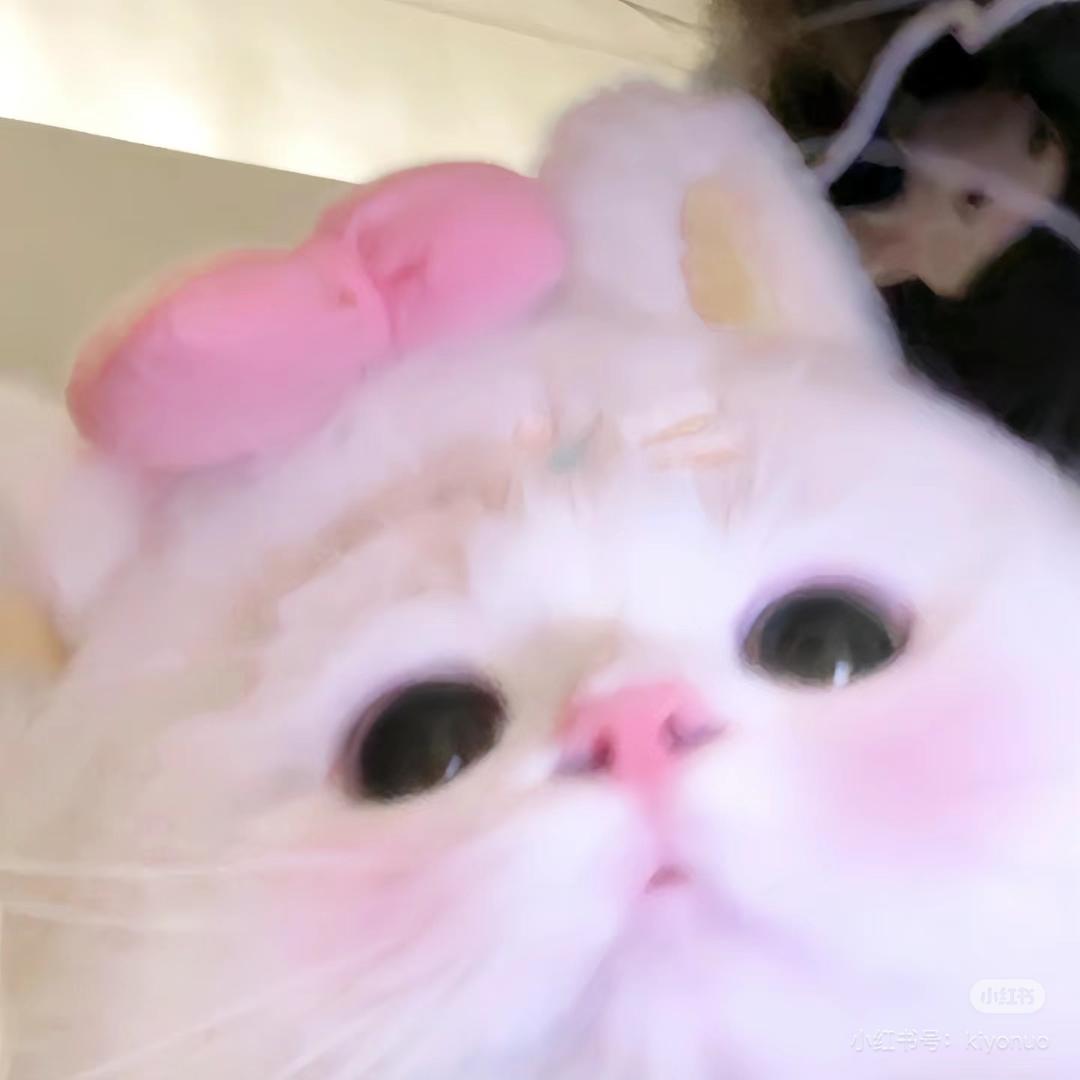 Tabby