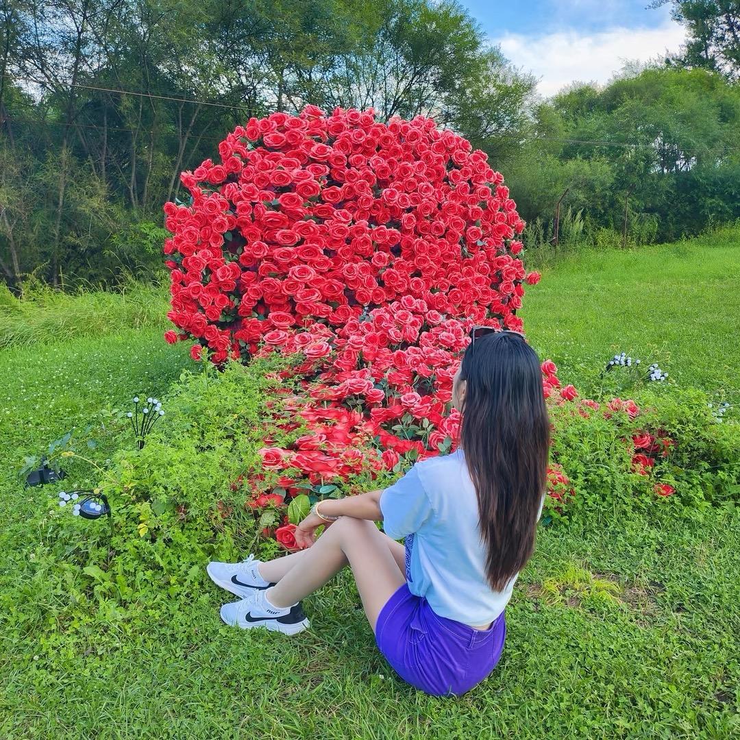 你的桃🍑
