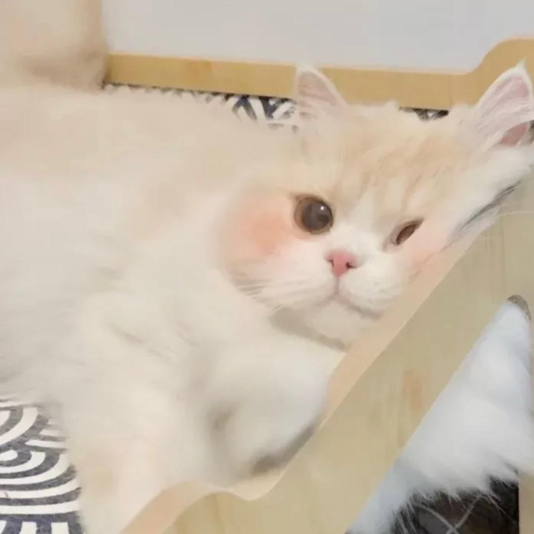 椰子油