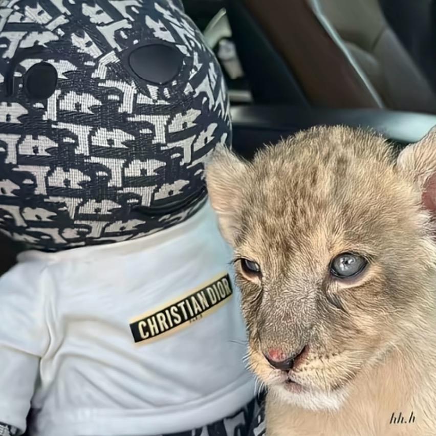 ￴￴ ￴￴ ￴￴￴ ￴￴ ￴￴ ￴￴￴￴