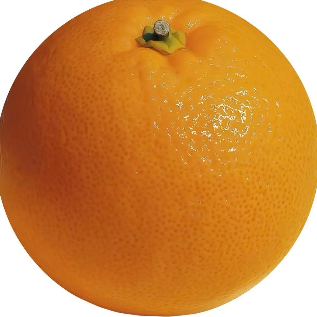 橘子