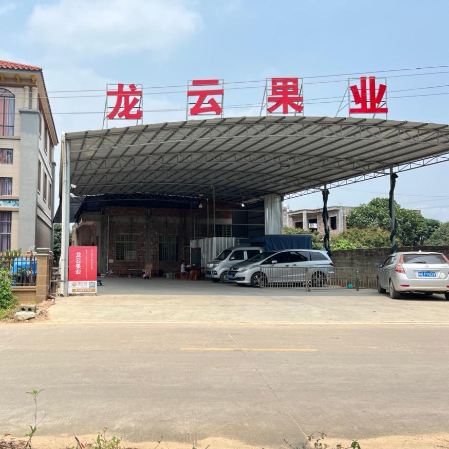 龙云果业